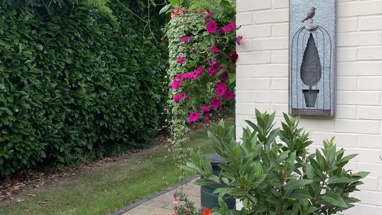 Photo of Outdoor in Runnymede