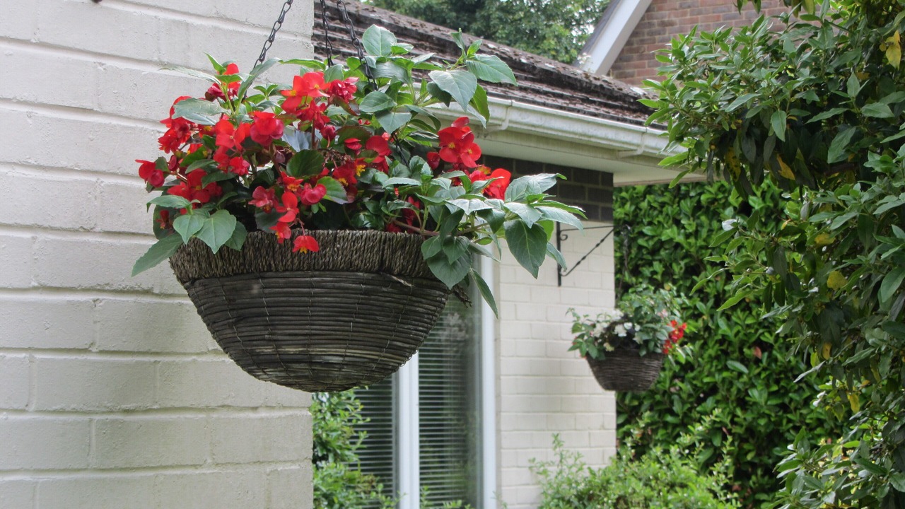 Photo of Outdoor in Runnymede