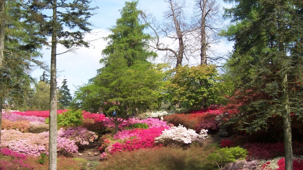 Photo of Outdoor in Runnymede