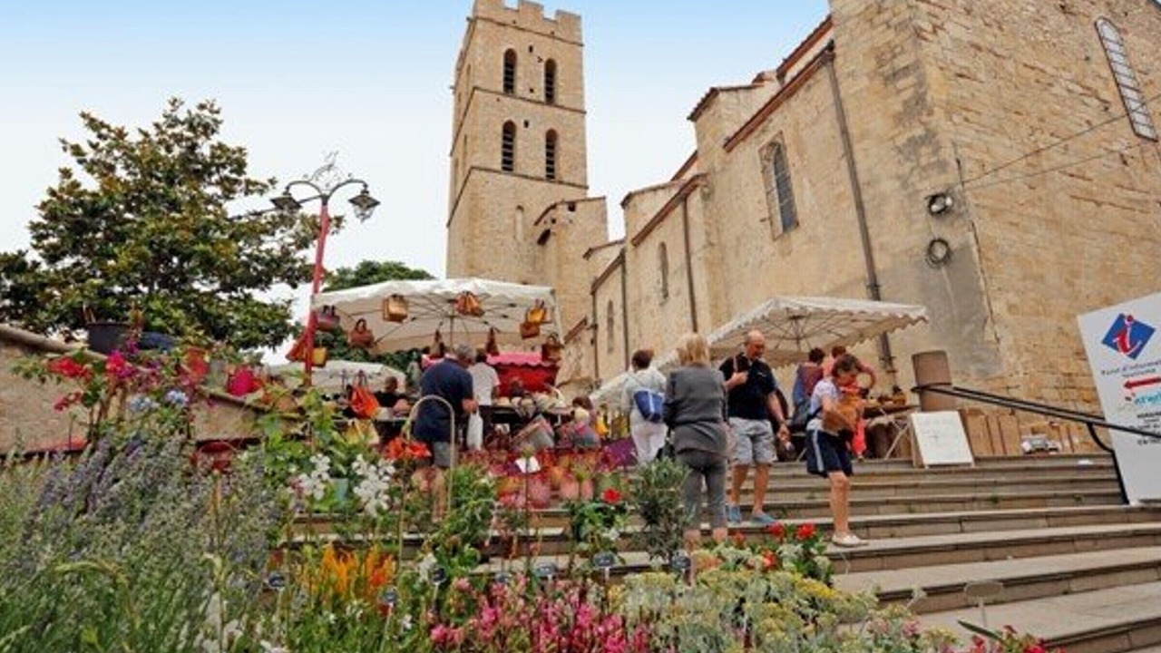 Photo of Others in Argeles-sur-Mer