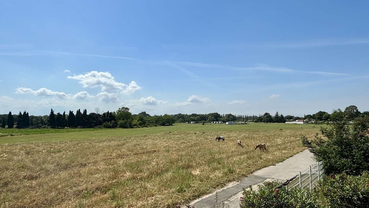 Photo of Outdoor in Argeles-sur-Mer