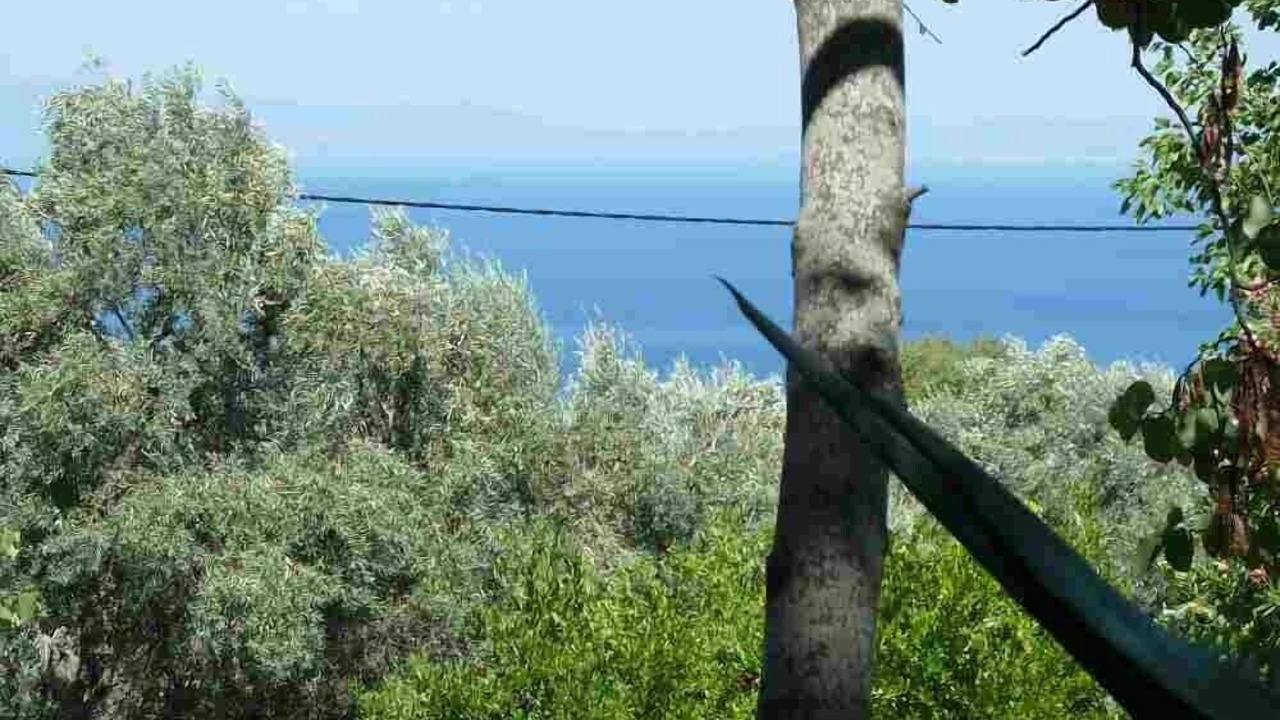 Photo of Outdoor in Kalamos