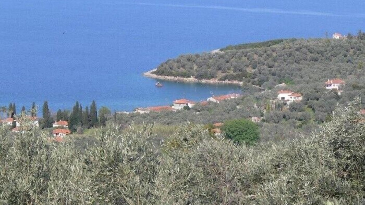 Photo of Others in Kalamos