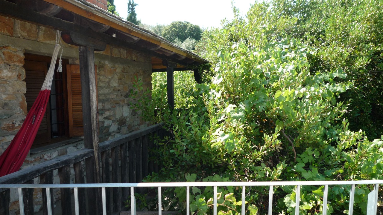 Photo of Outdoor in Kalamos