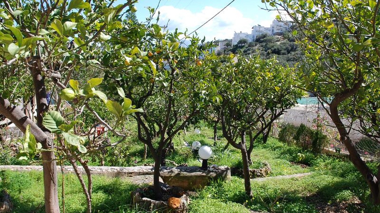 Photo of Outdoor in Ammoudara