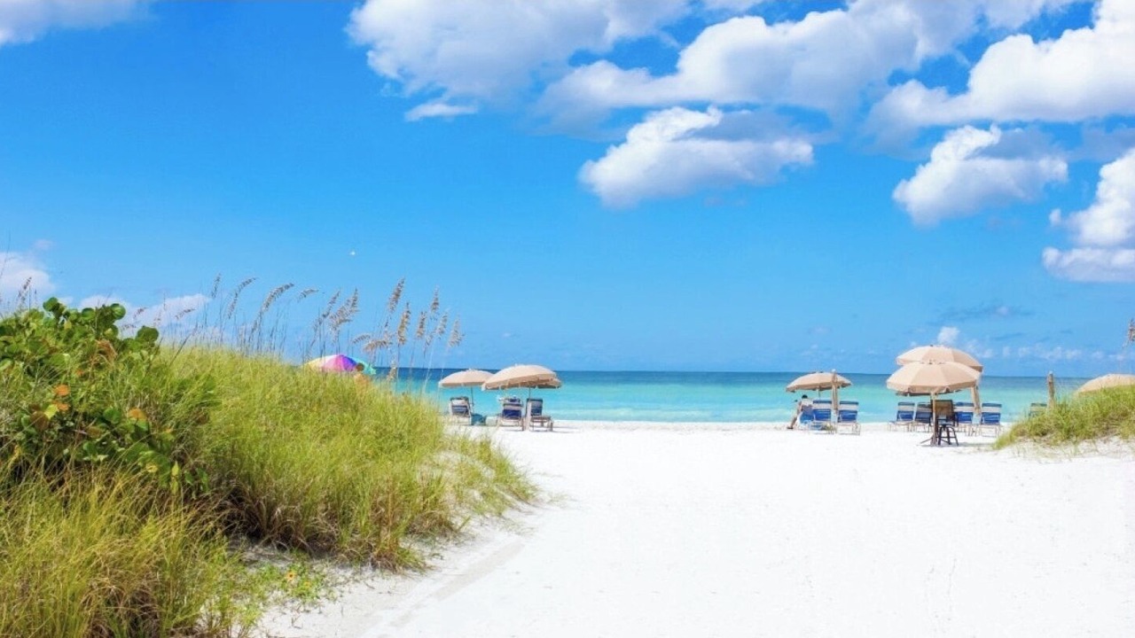 Photo of Others in Sarasota