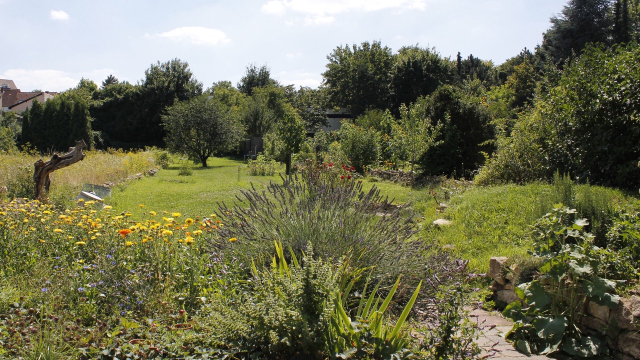 Photo of Outdoor in Mainz