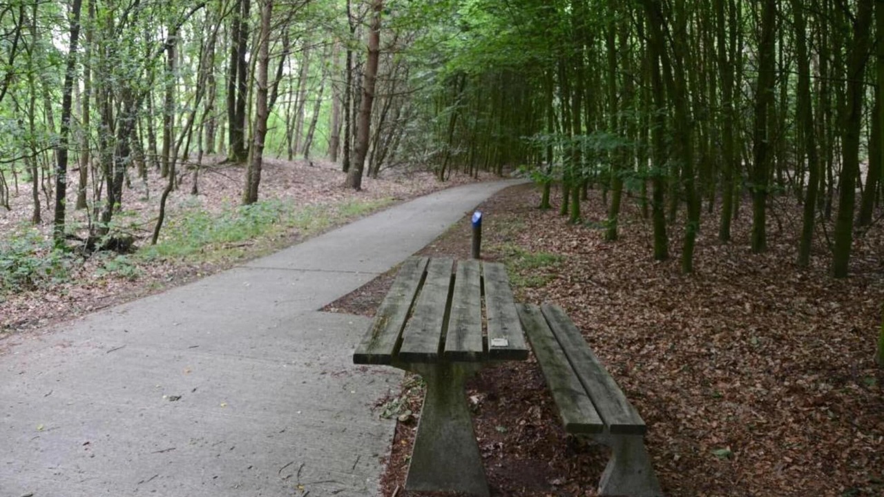 Photo of Others in Dwingeloo