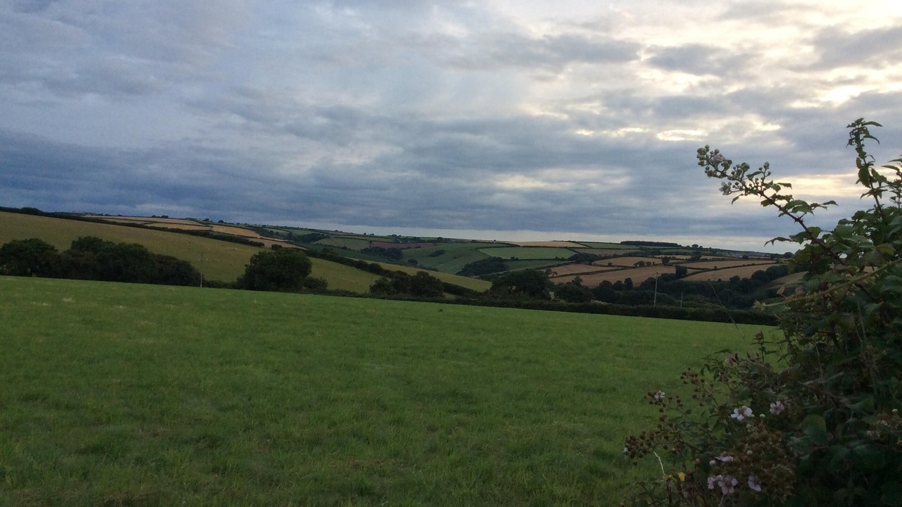 Photo of Others in Chillington