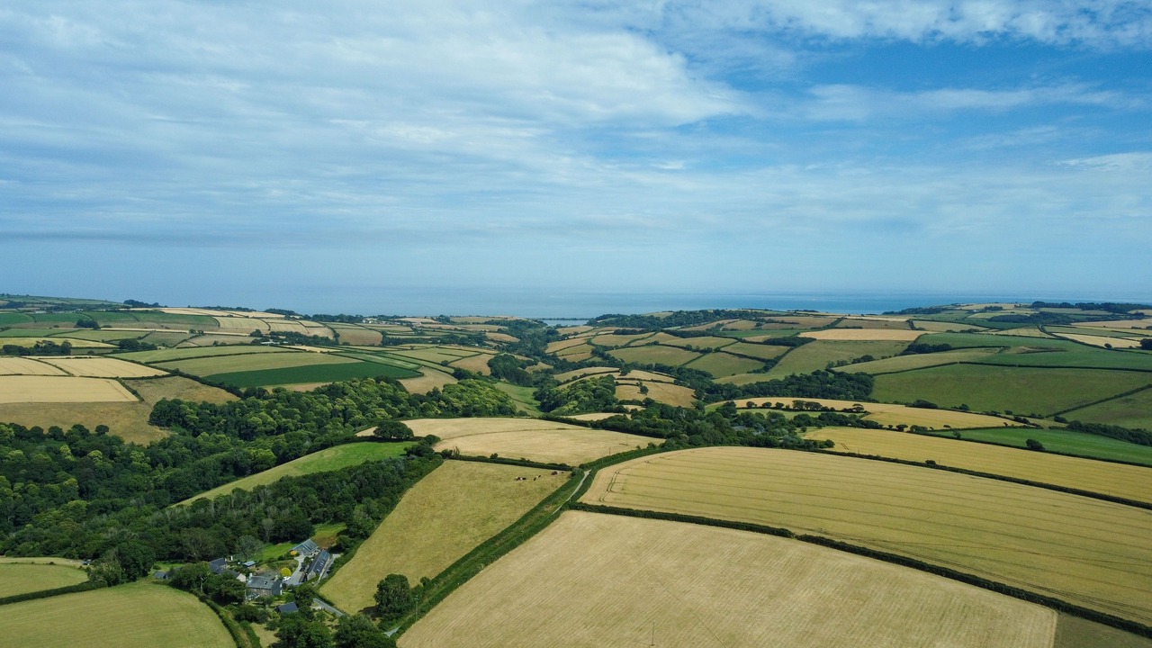 Photo of Others in Chillington