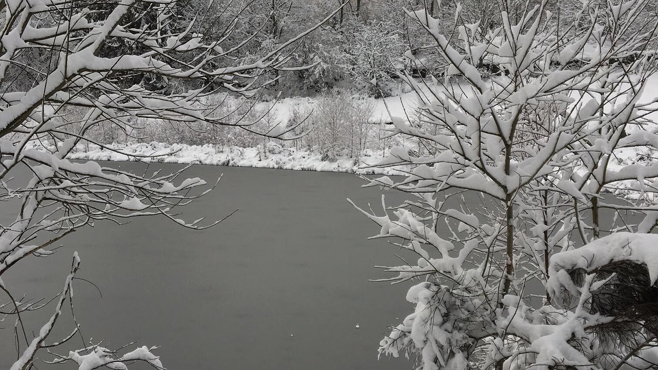 Photo of Outdoor in Saulxures-sur-Moselotte
