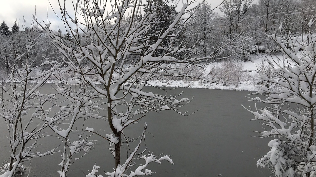 Photo of Outdoor in Saulxures-sur-Moselotte