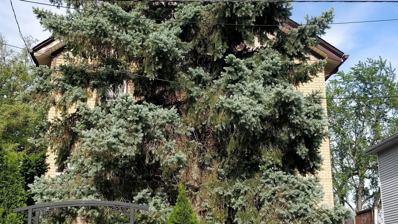 Photo of Others in Niagara Falls