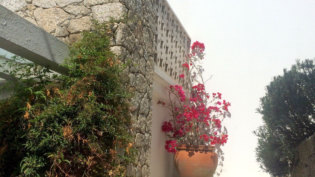 Photo of Outdoor in Povoa De Varzim