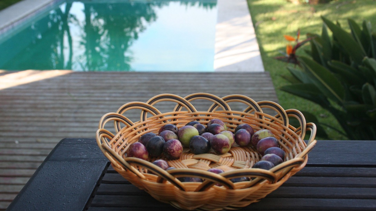 Photo of Outdoor in Povoa De Varzim