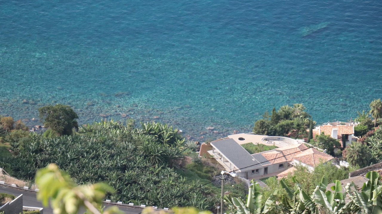 Photo of Outdoor in Arco da Calheta