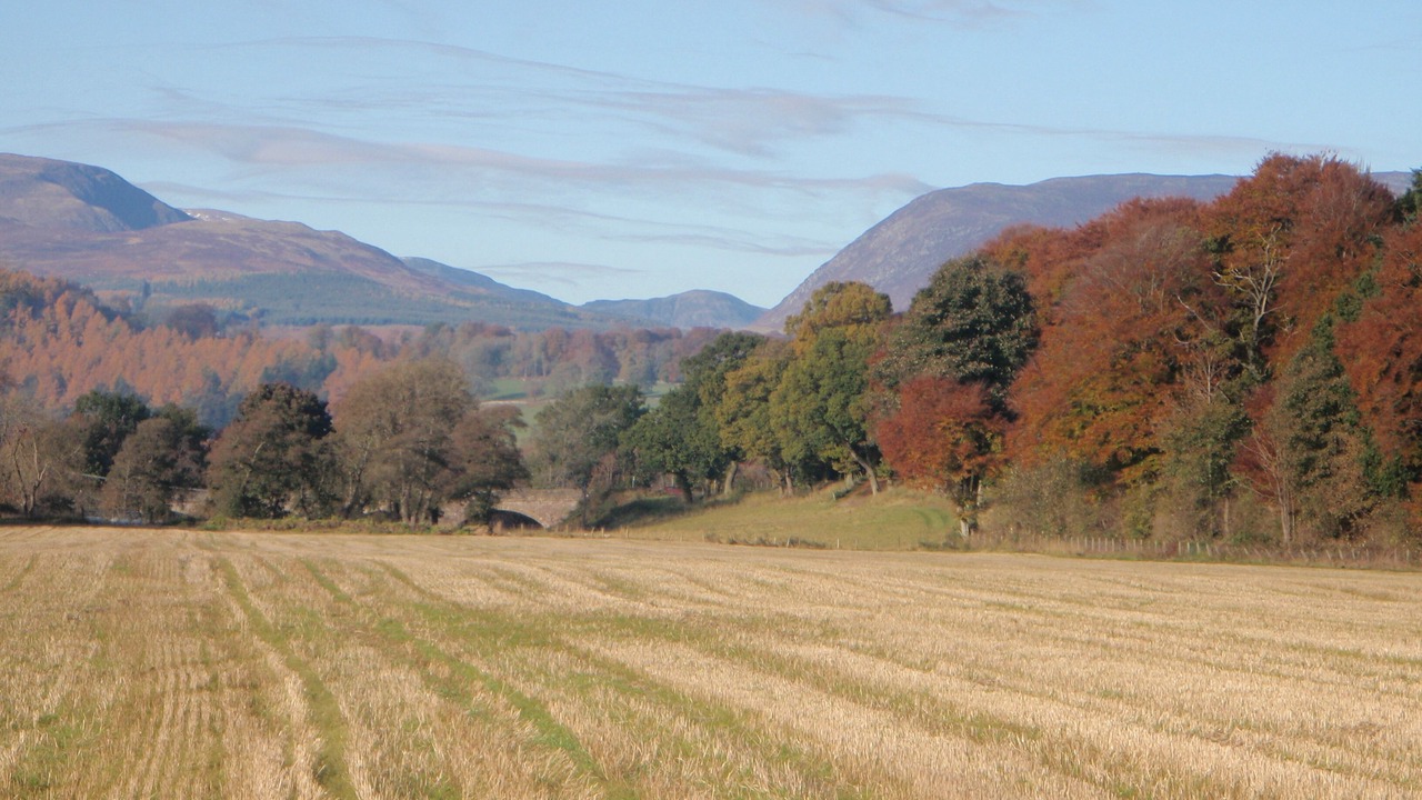Photo of Others in Crieff