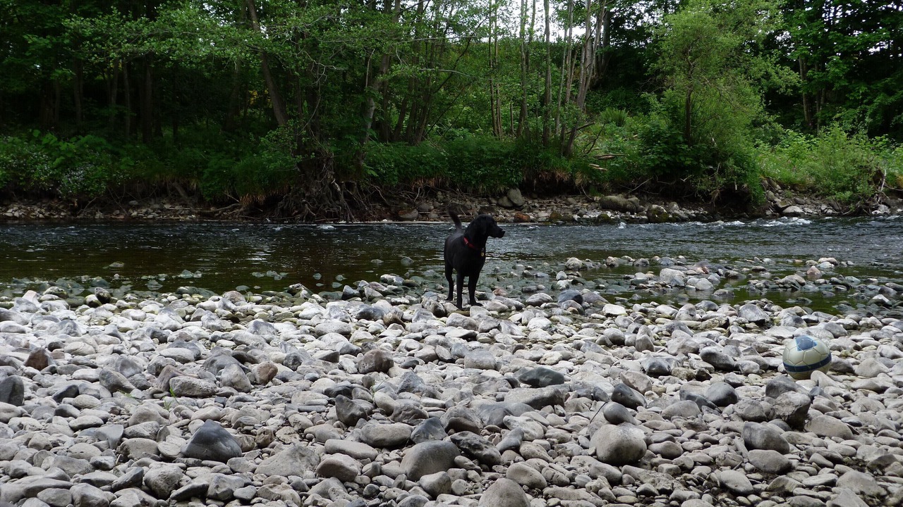 Photo of Others in Crieff
