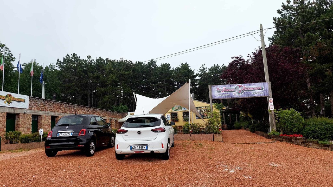 Photo of Outdoor in Bardolino