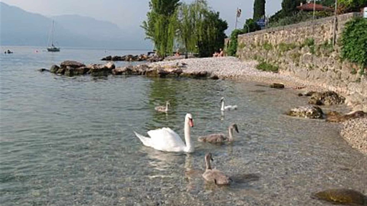 Photo of Others in Bardolino