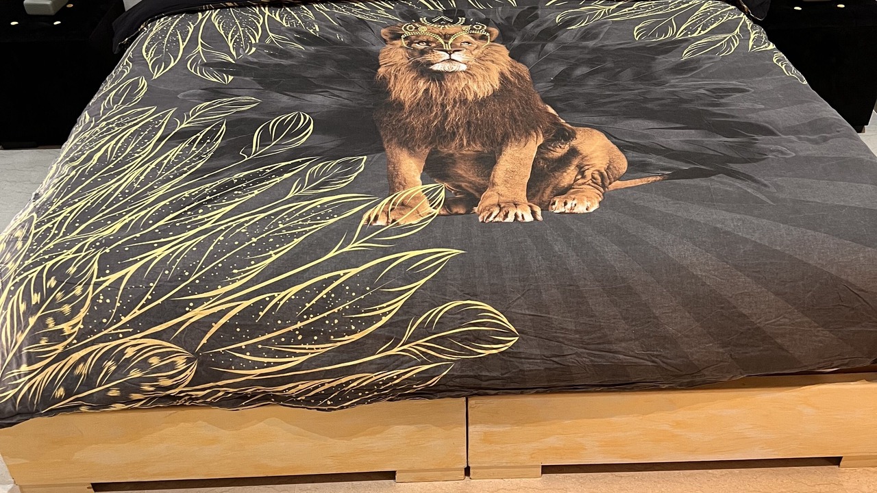 Photo of Bedroom in Daoudiate