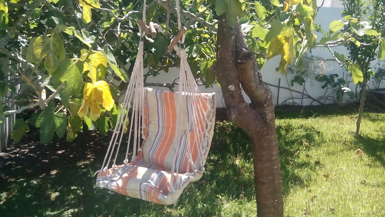 Photo of Outdoor in Povoa De Varzim