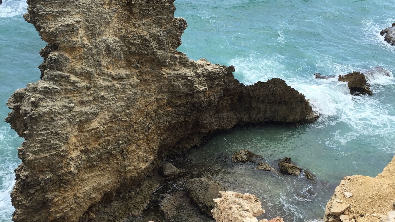 Photo of Others in Cabo Rojo