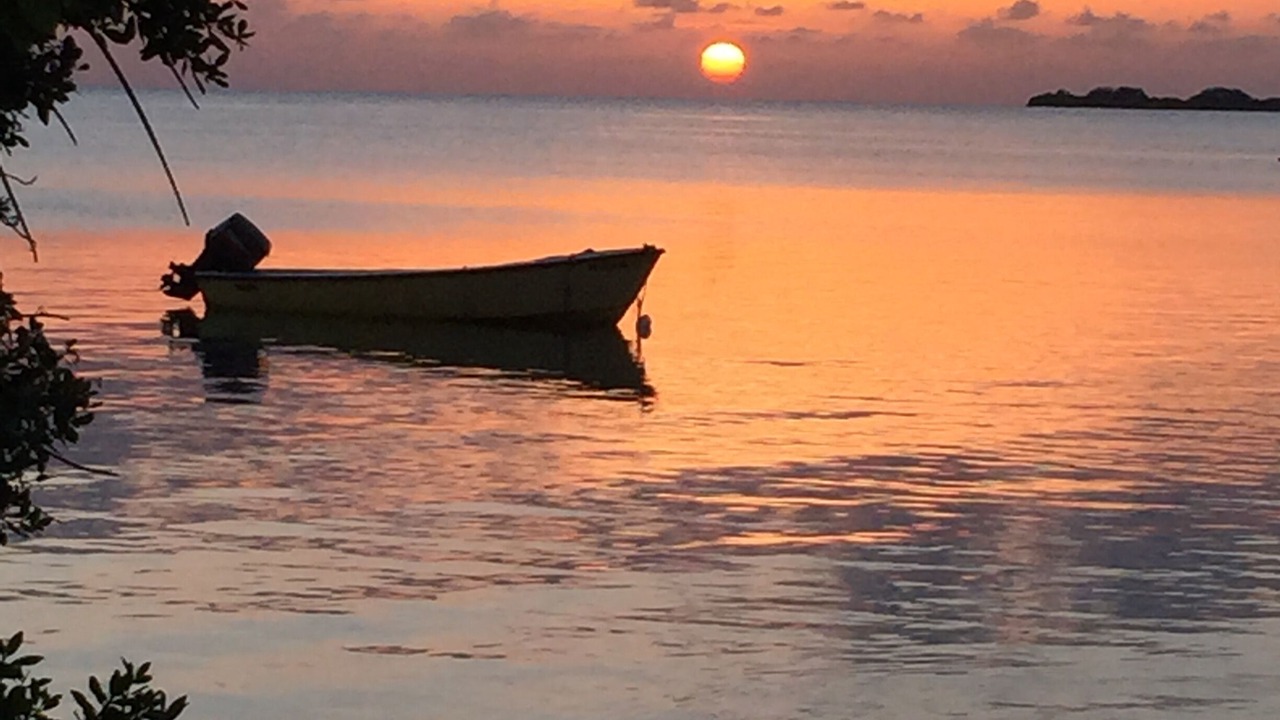 Photo of Others in Cabo Rojo