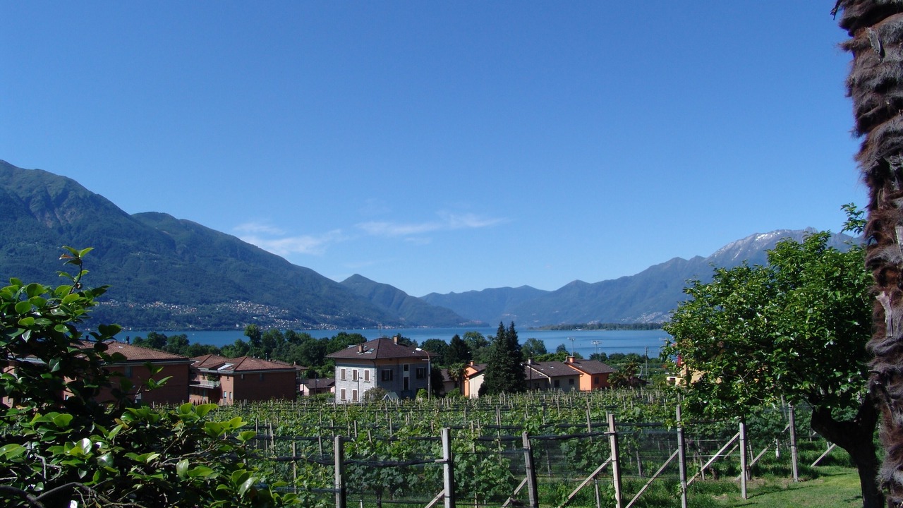Photo of Outdoor in Tenero-Contra