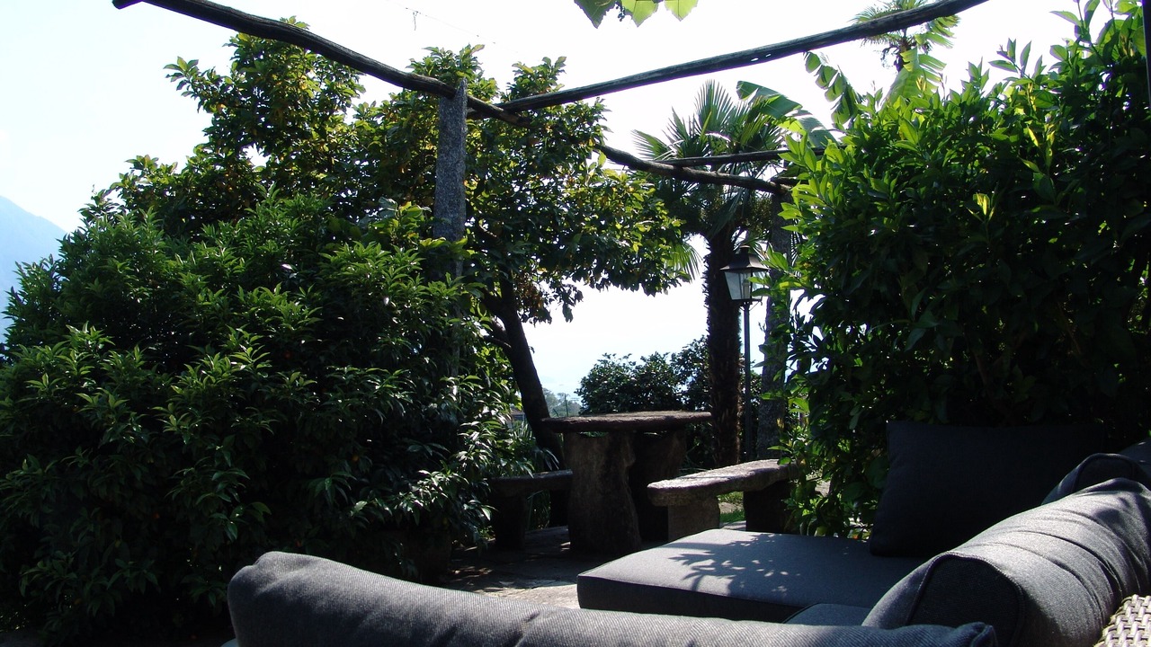 Photo of Patio Balcony in Tenero-Contra