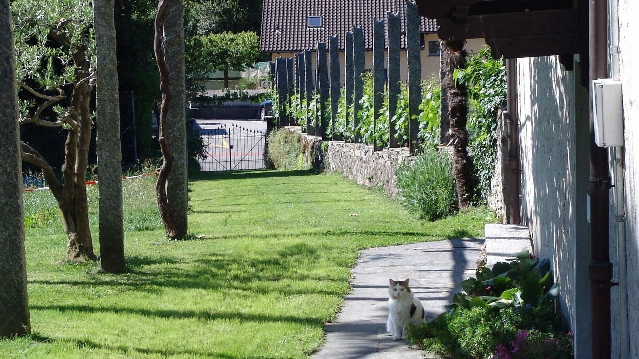 Photo of Outdoor in Tenero-Contra