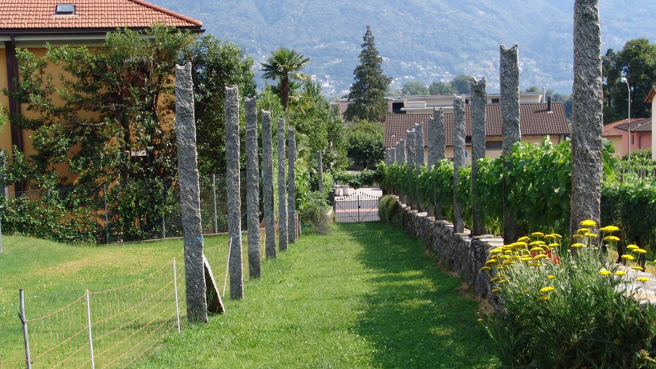 Photo of Outdoor in Tenero-Contra