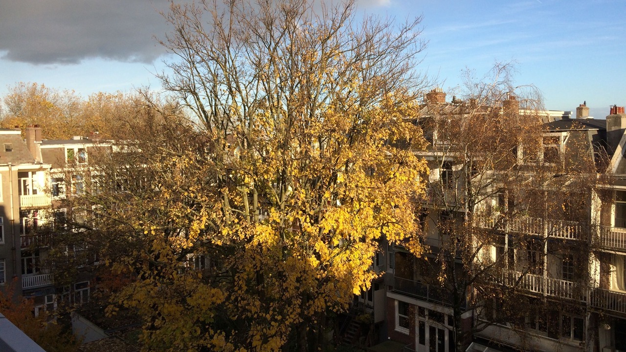 Photo of Others in Frederik Hendrikbuurt