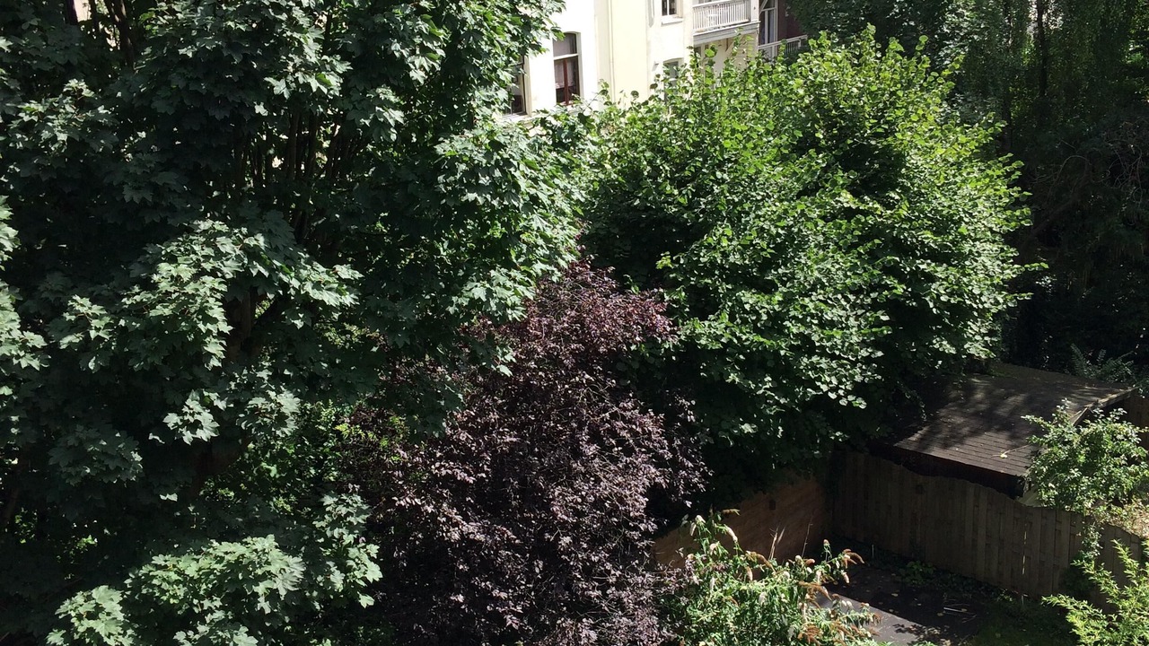 Photo of Outdoor in Frederik Hendrikbuurt