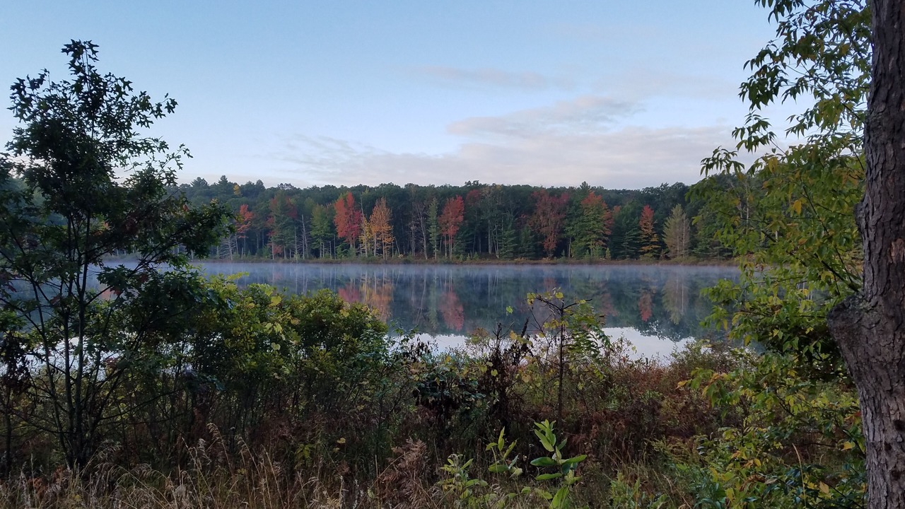 Photo of Outdoor in Mayfield