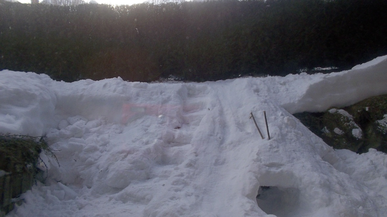 Photo of Others in Les Houches