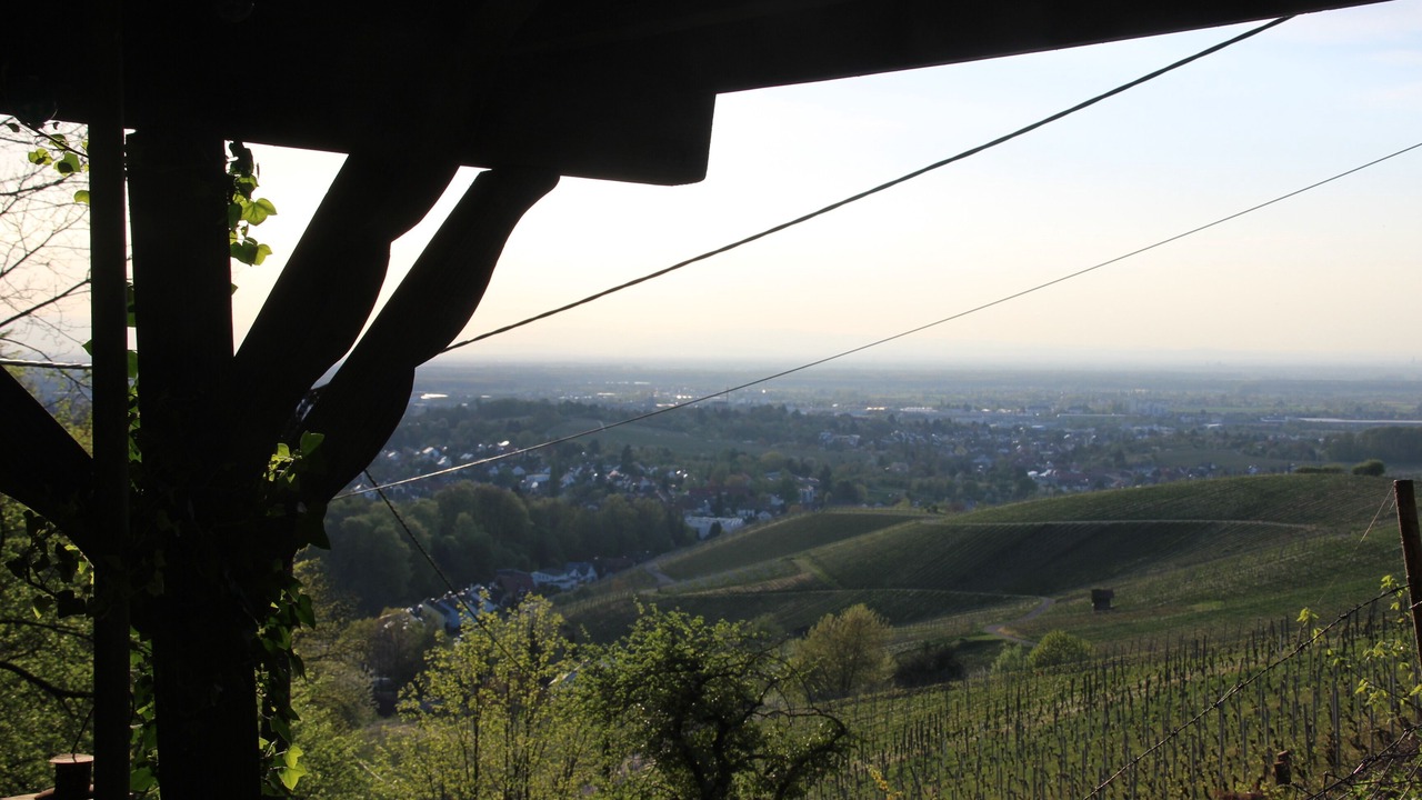 Photo of Others in Albersbach