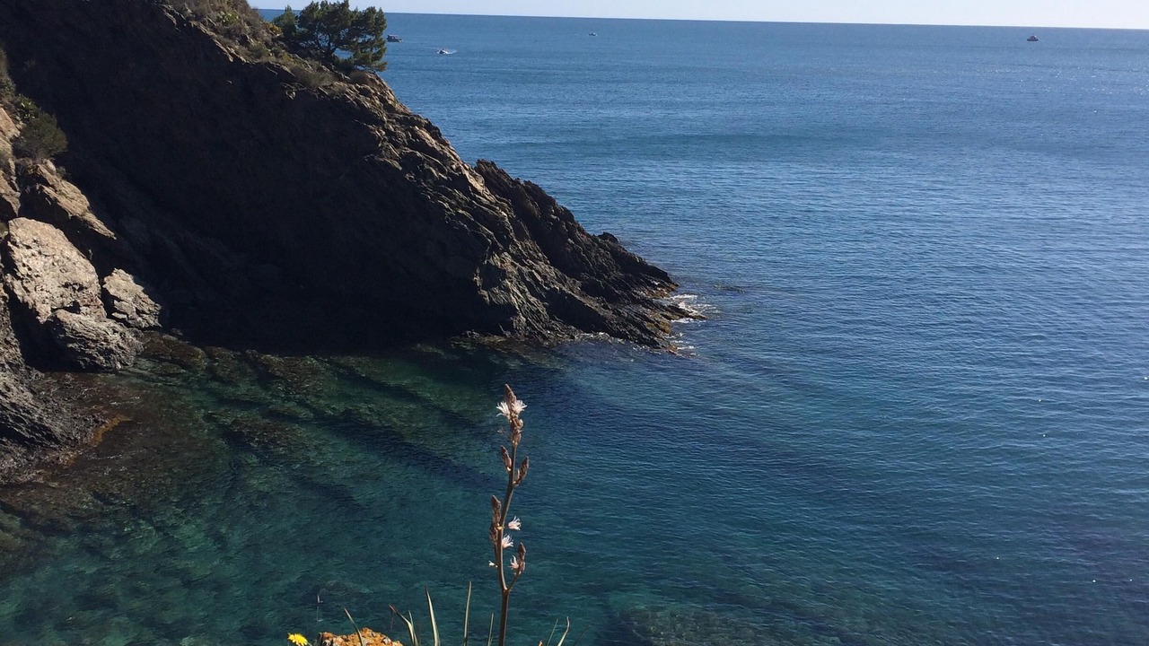 Photo of Others in Saint-Cyprien Plage