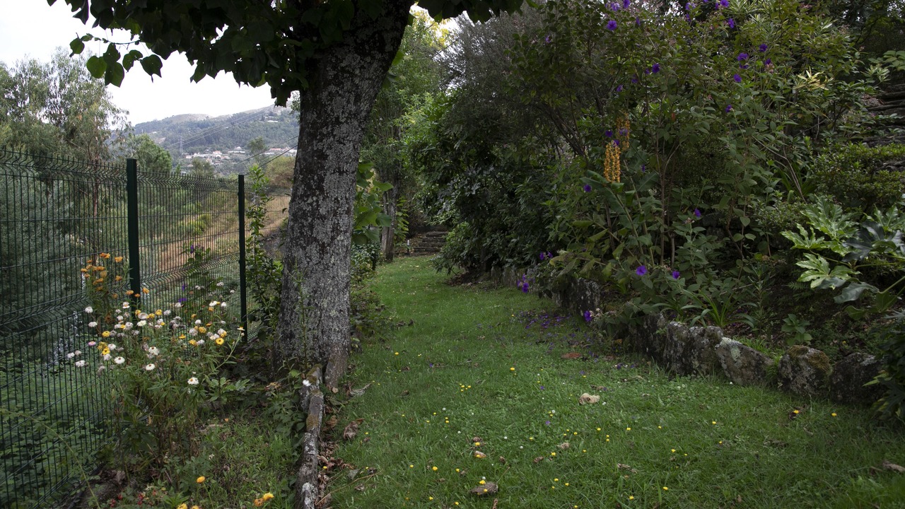 Photo of Outdoor in Canicada