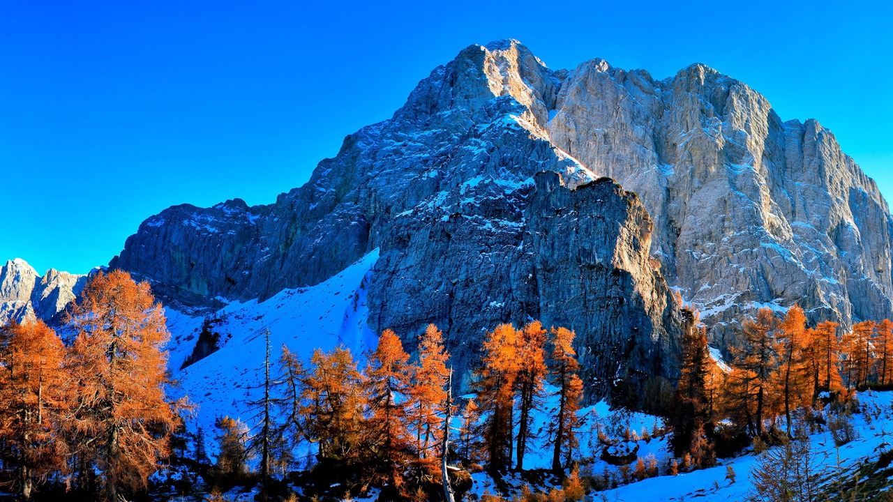 Photo of Others in Kranjska Gora