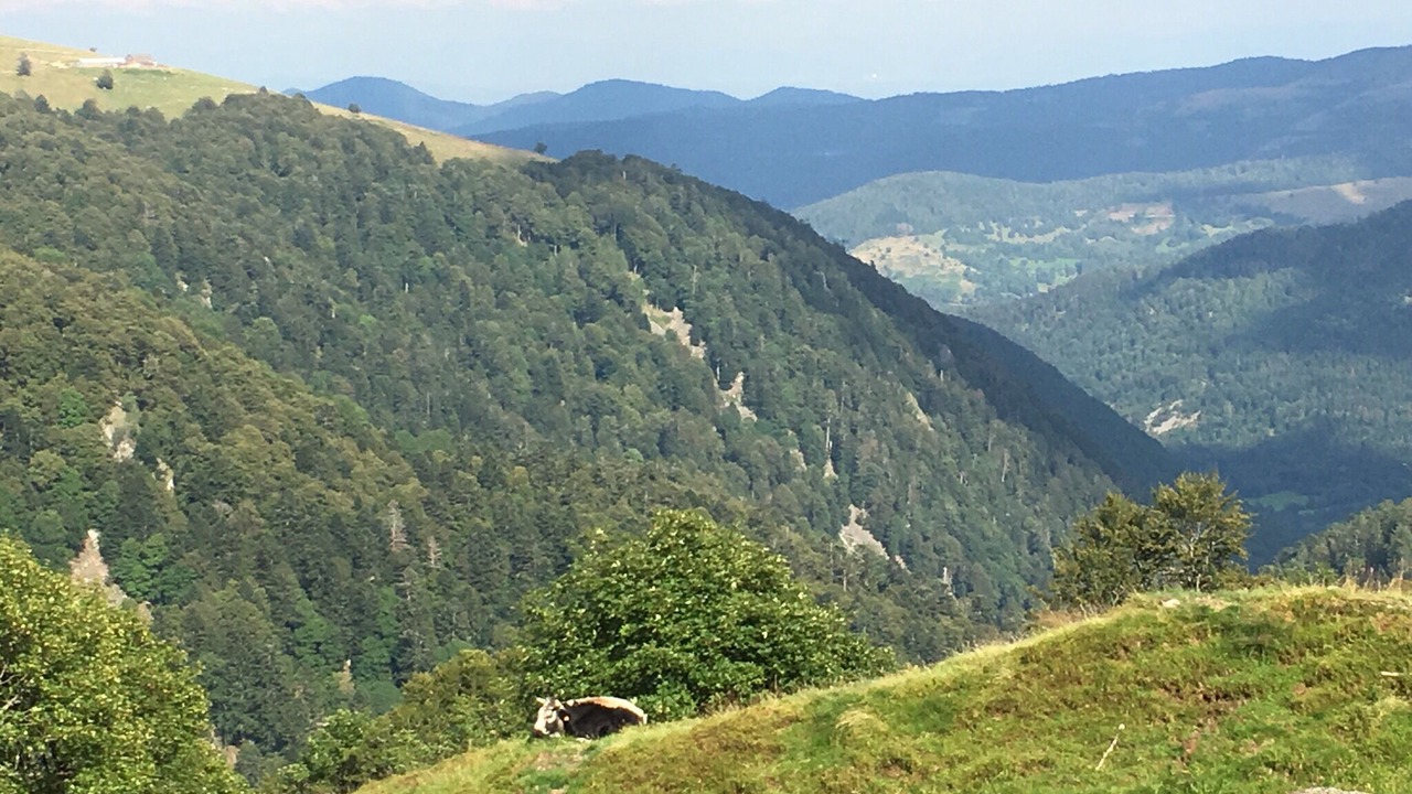 Photo of Others in Xonrupt-Longemer