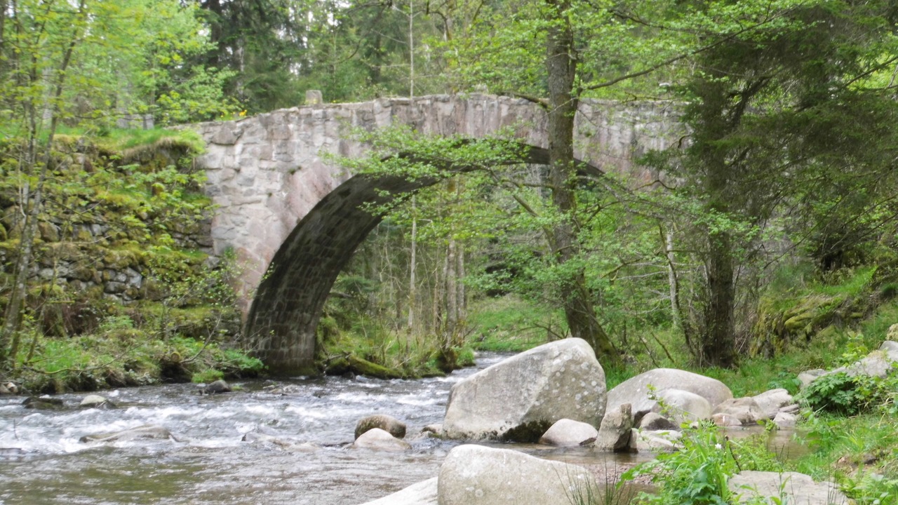 Photo of Outdoor in Xonrupt-Longemer