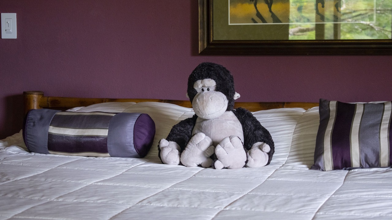 Photo of Bedroom in Portalon