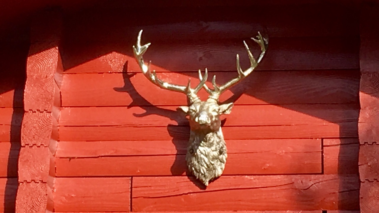 Photo of Others in Rashfield