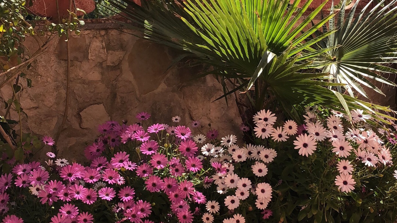 Photo of Outdoor in San Pietro in Bevagna