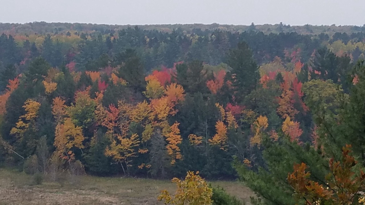 Photo of Outdoor in Mayfield