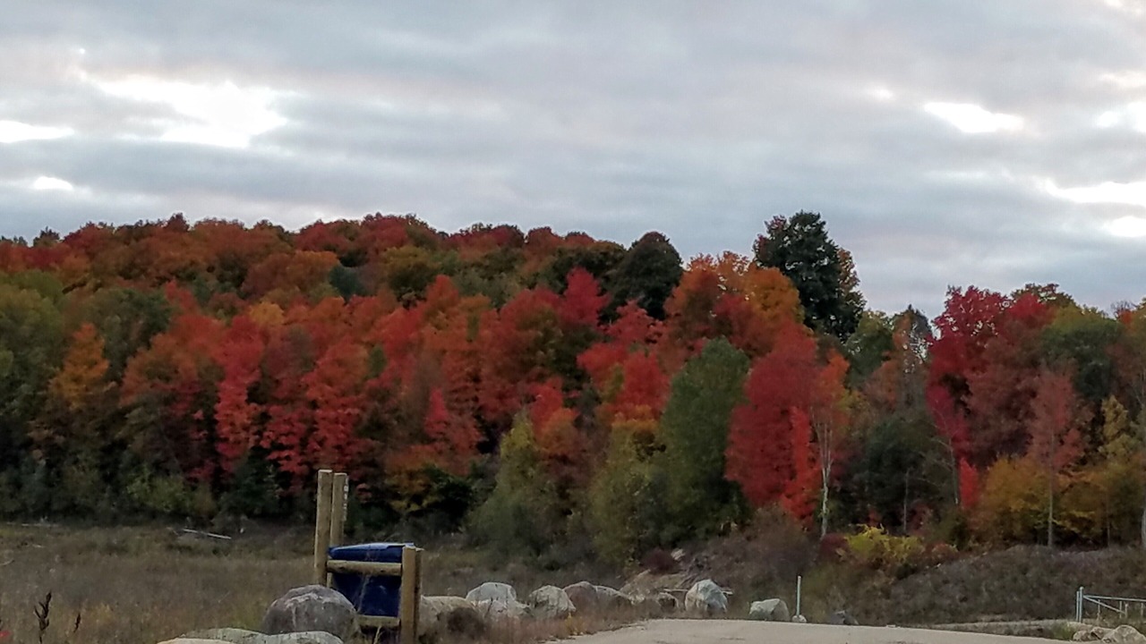 Photo of Outdoor in Mayfield
