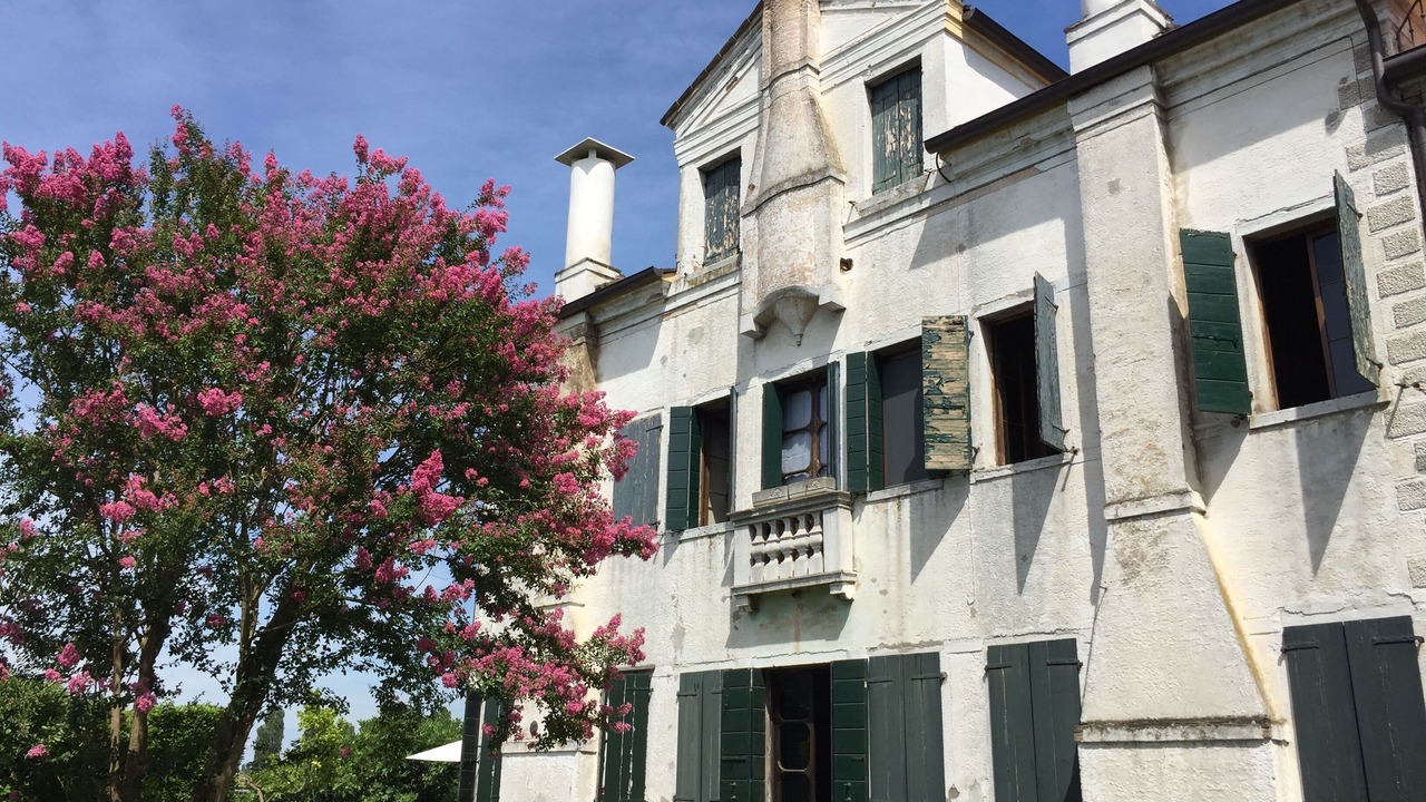 Photo of Outdoor in Olmo di Mira