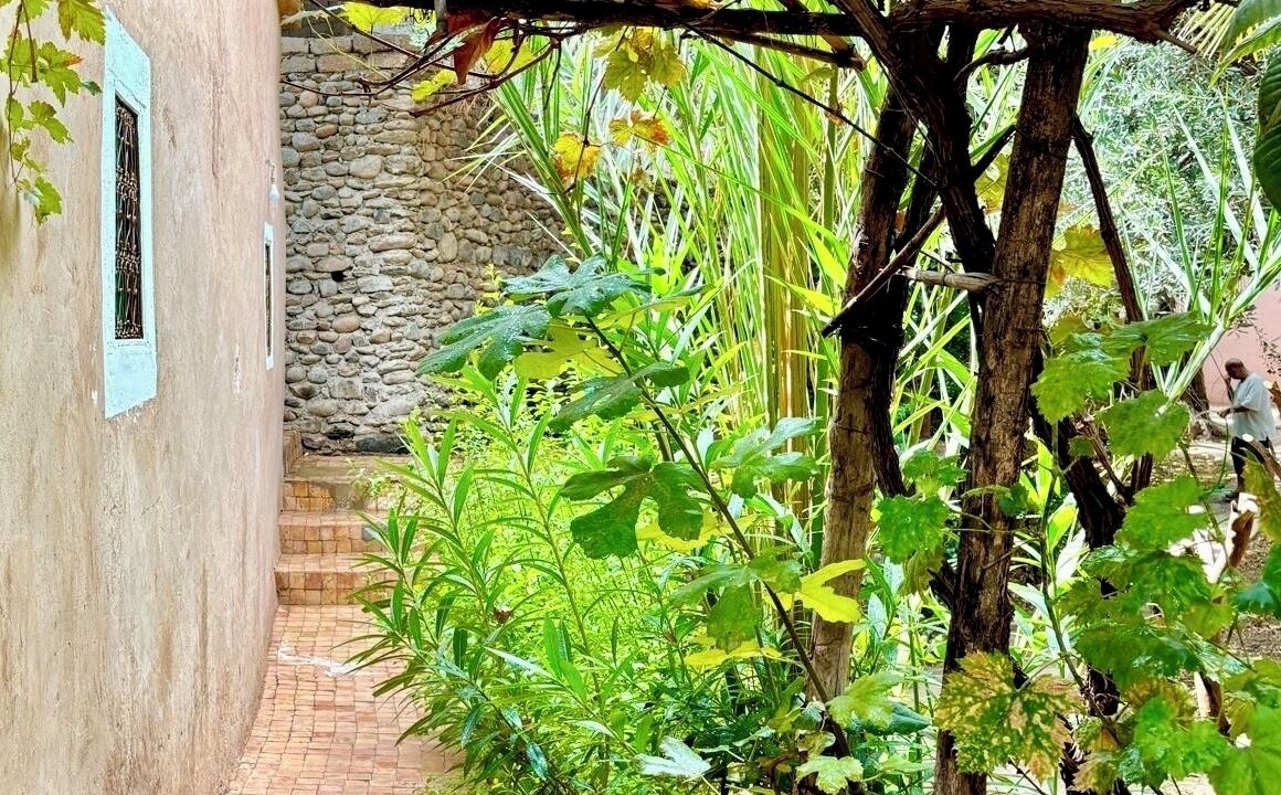 Photo of Outdoor in Ouirgane