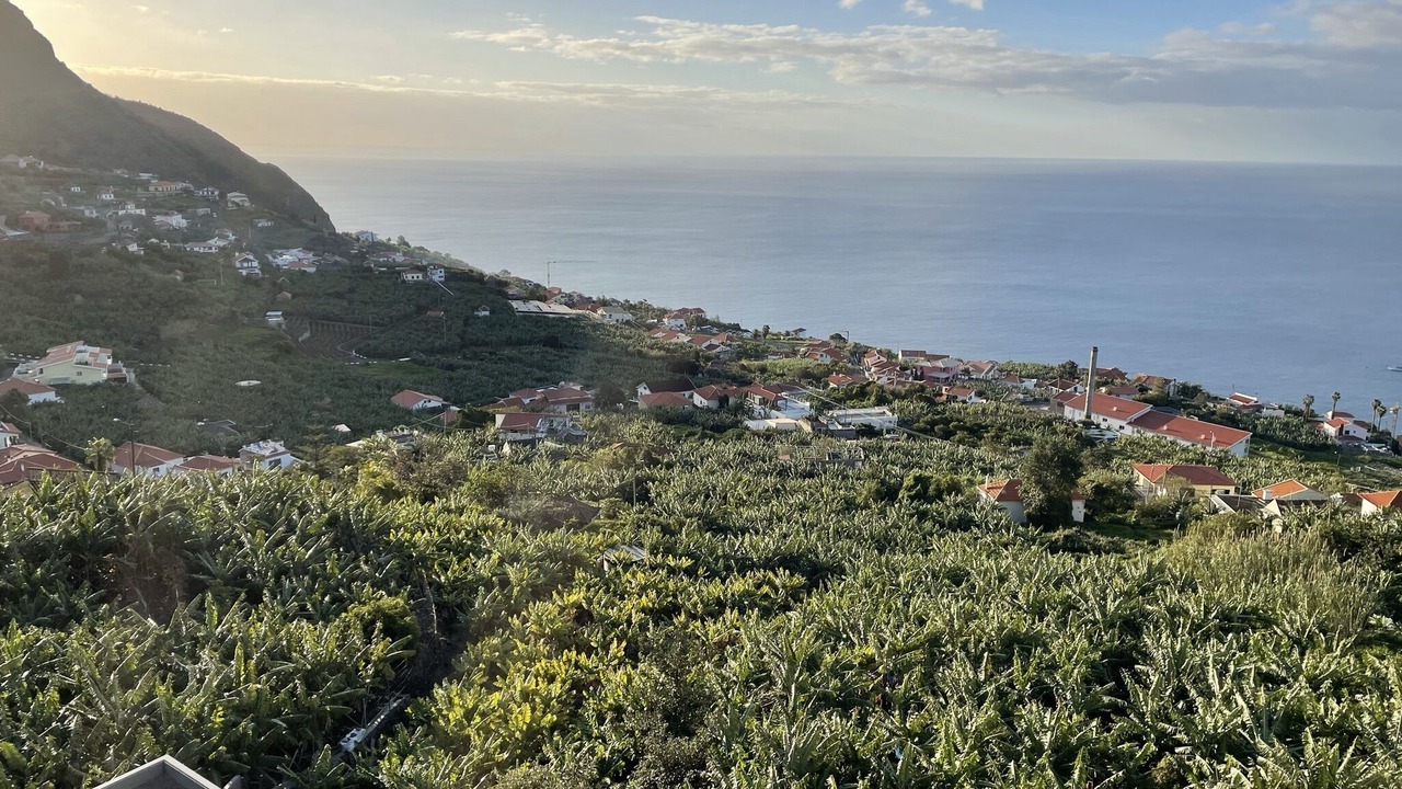 Photo of Others in Arco da Calheta